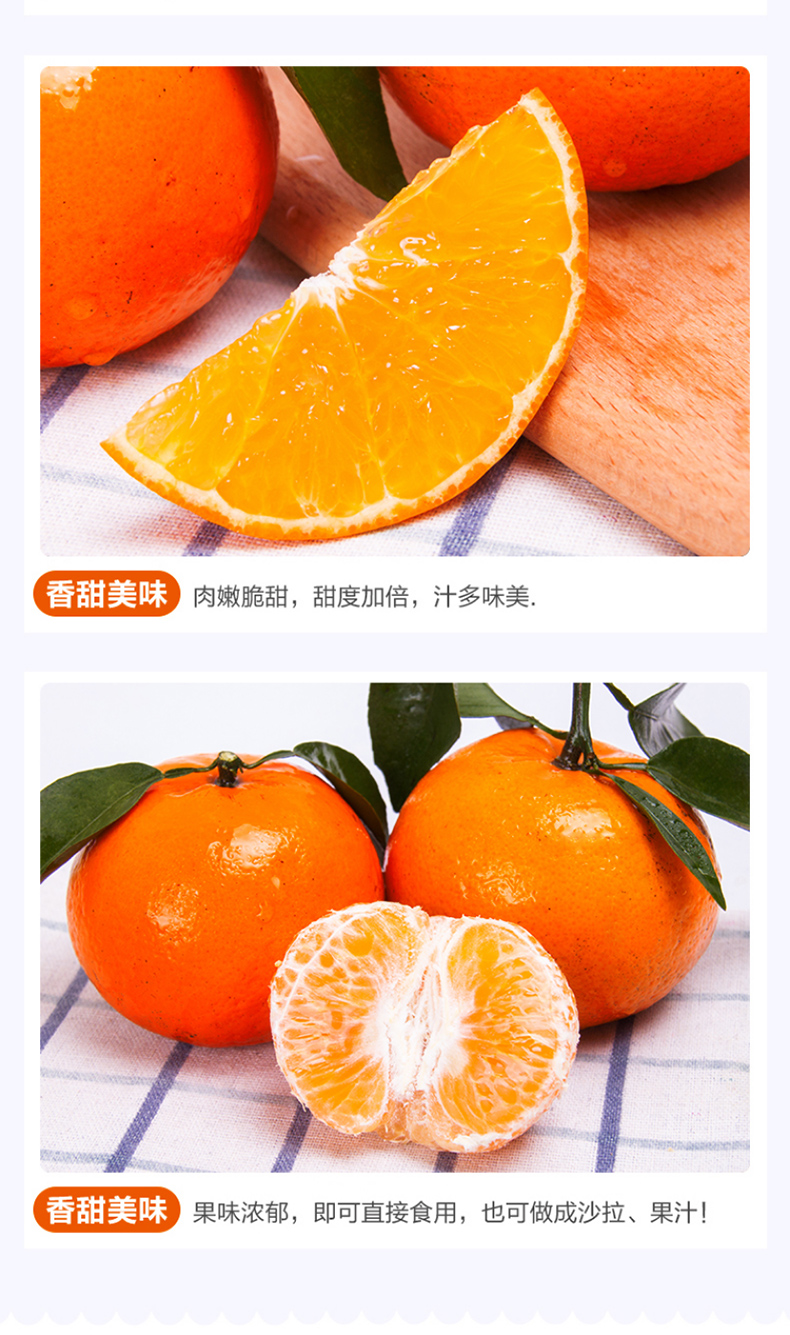 沃柑 桔柑 橘子